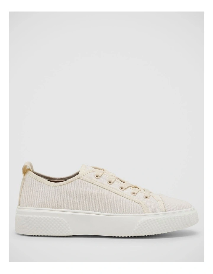 Cassio Canvas Trainer in Plaster image 1