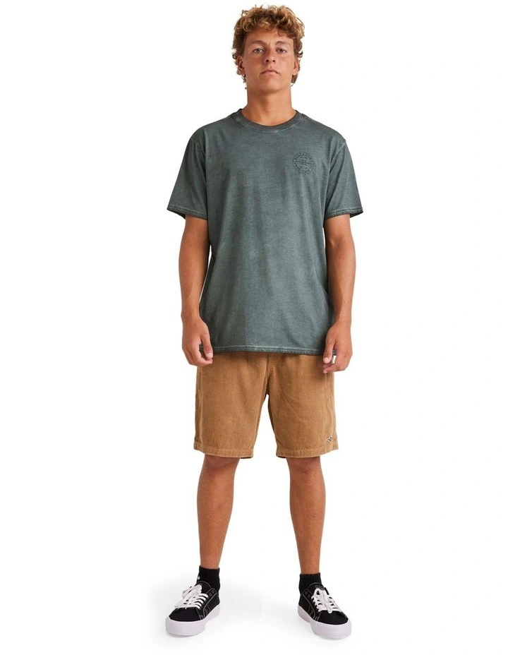 Big Wave Daz T-shirt in Grey image 5