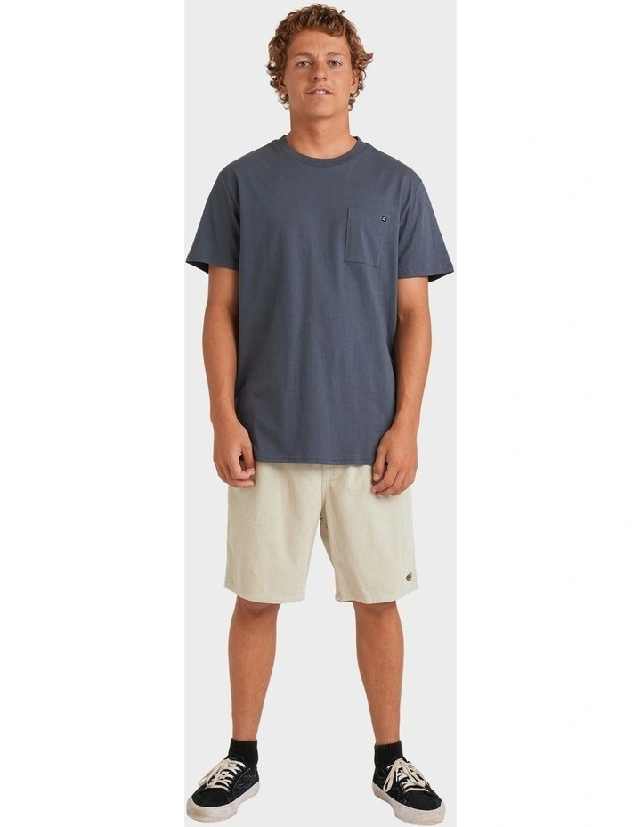 Larry Cord Walkshorts in Stone image 5