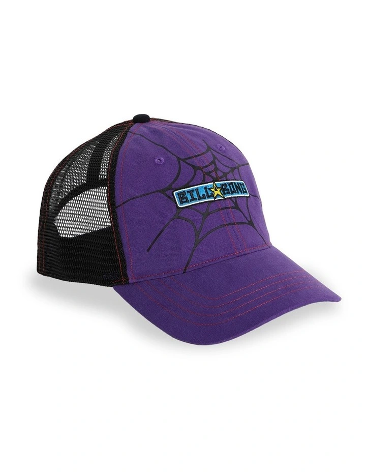 Web Trucker Cap in Multi image 3