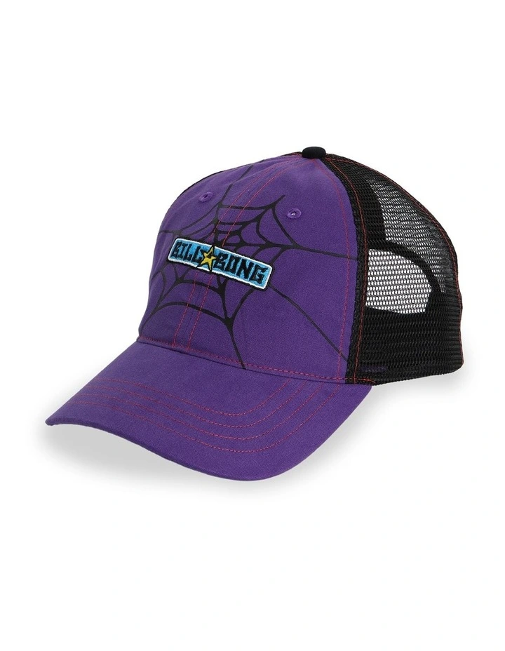Web Trucker Cap in Multi image 5