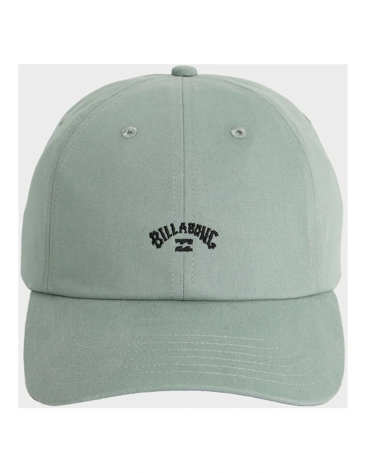 Peyote Washed Dad Cap In Green image 1