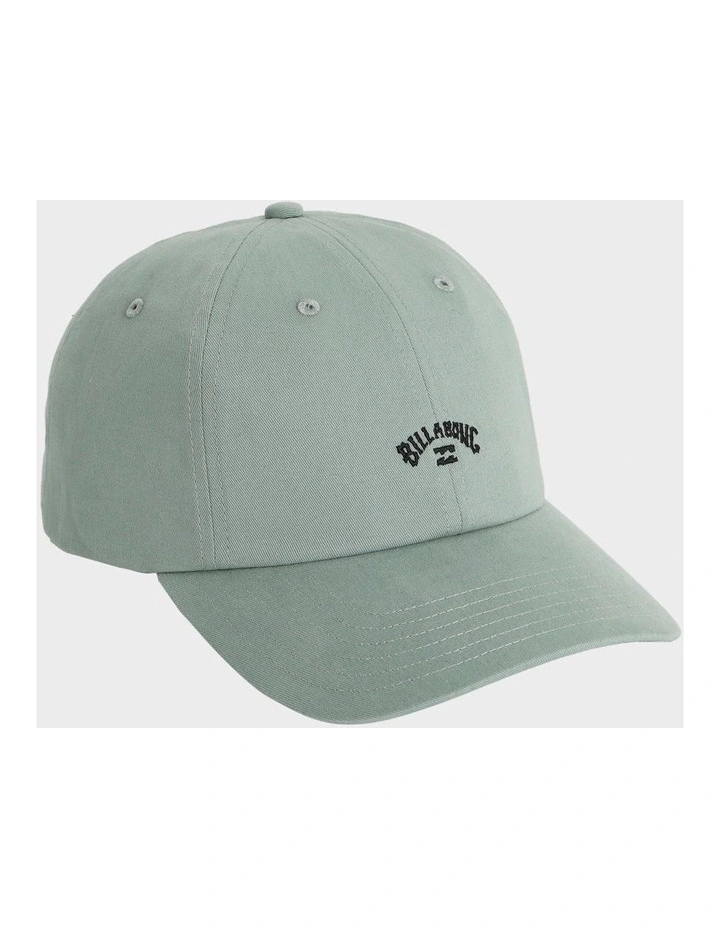 Peyote Washed Dad Cap In Green image 3