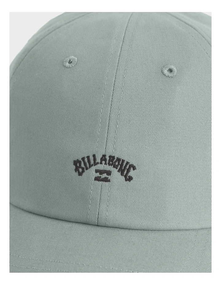 Peyote Washed Dad Cap In Green image 4