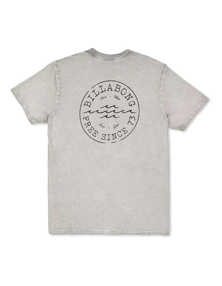 Big Wave Daz T-shirt in Alloy image 2
