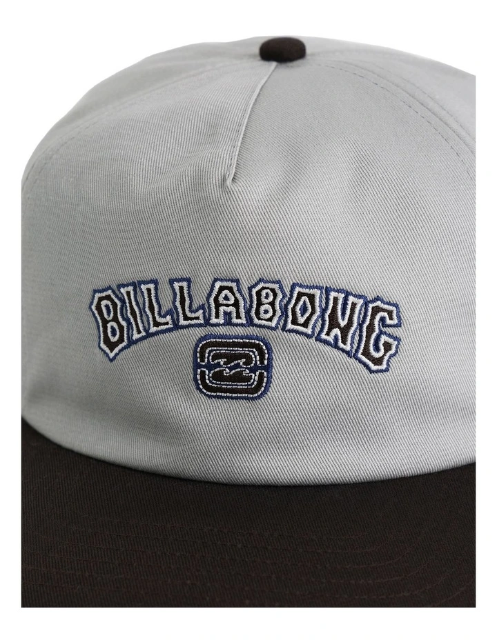 Throwback Cap in Silver image 4