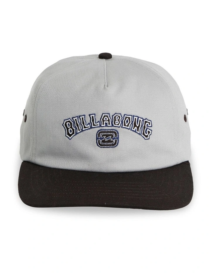 Throwback Cap in Silver image 2