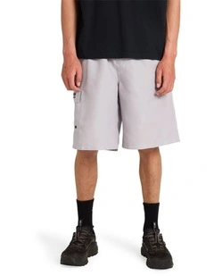 Throw On 22 Inch Boardshorts In Ash