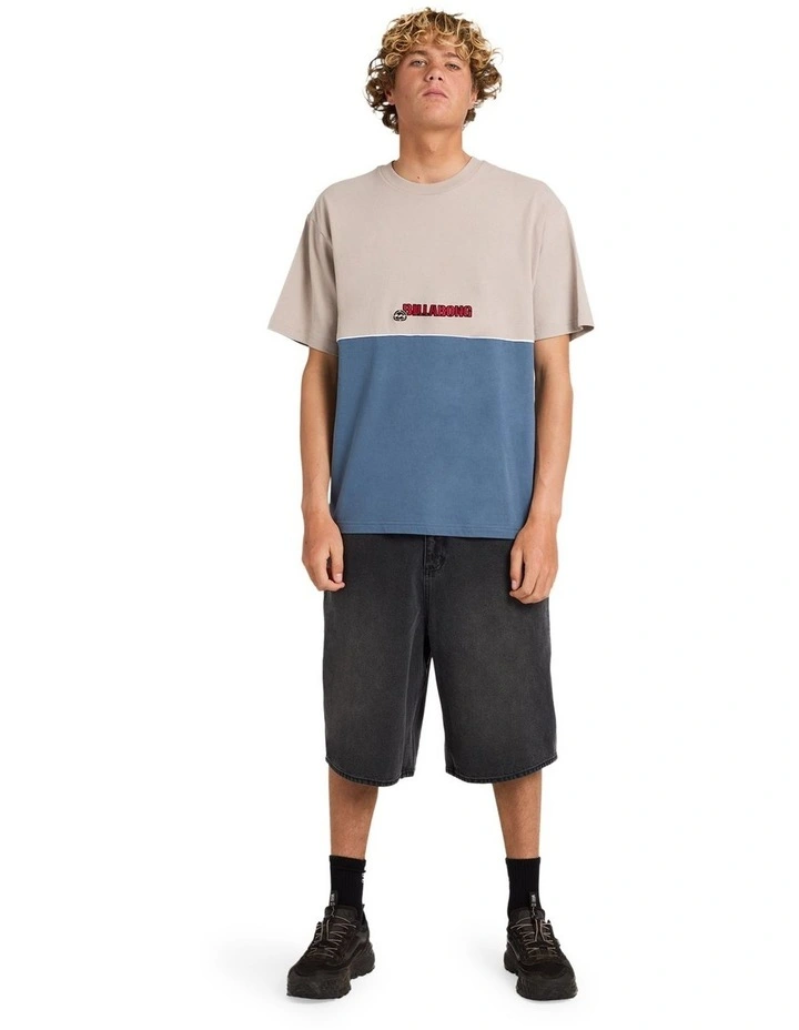 Spec 73 Iconic T-Shirt In Ash image 5