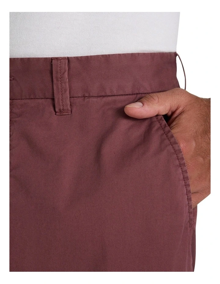 Douglas Chino in Frosted Cherry image 3
