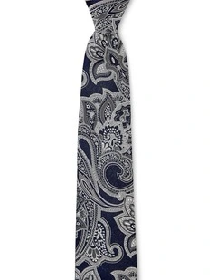 Paisley Grande Silk Tie In Pewter