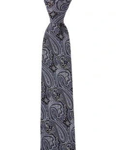 Matte Paisley Silk Tie In Blue