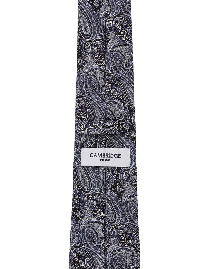 Matte Paisley Silk Tie In Blue image 2