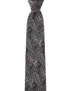 Matte Paisley Silk Tie In Grey