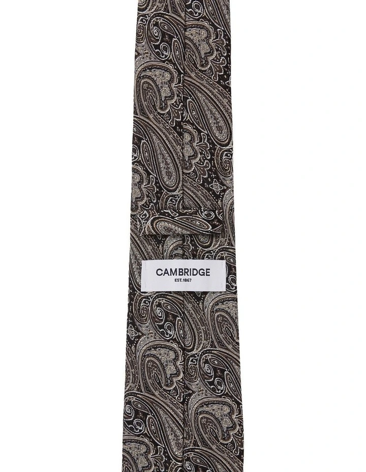 Matte Paisley Silk Tie In Taupe image 2