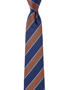 Awning Stripe Silk Tie in Rust
