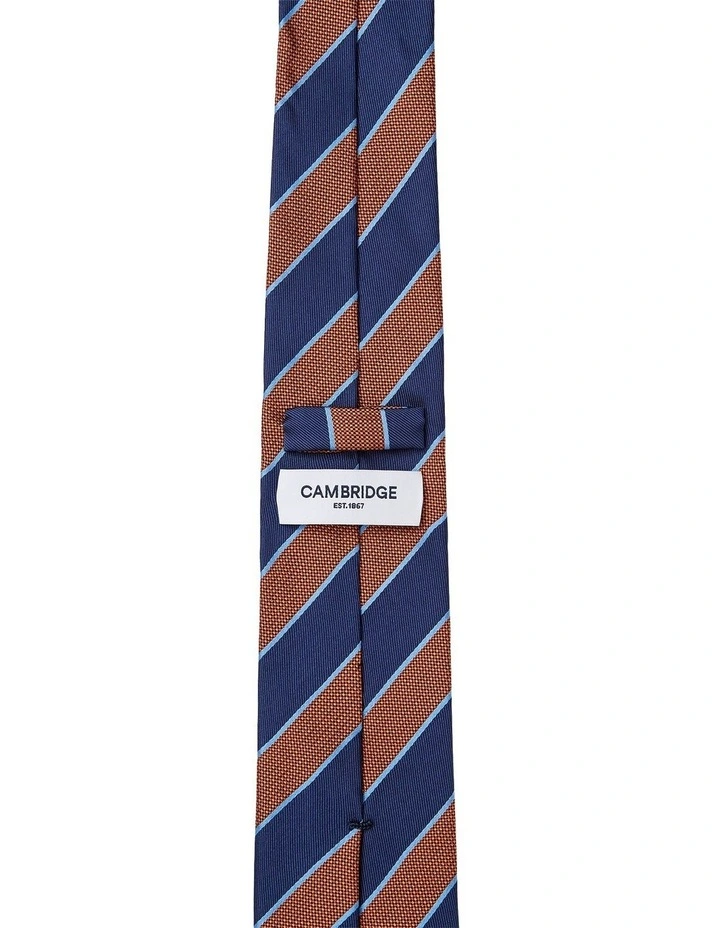 Awning Stripe Silk Tie in Rust image 2