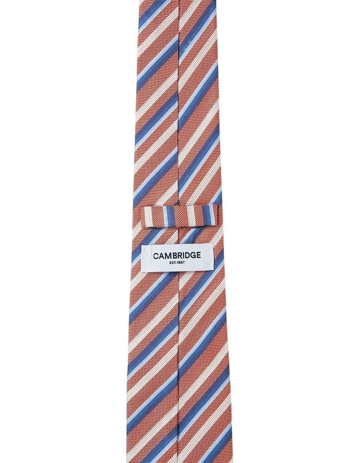 Multistripe Silk Tie in Rust image 2