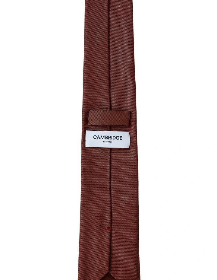 Formal Silk Tie in Copper image 2