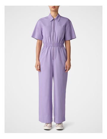 Violet colour