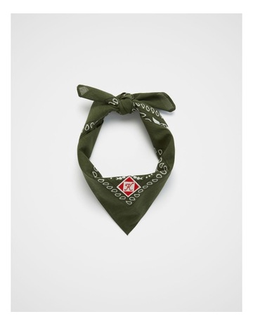 Olive colour