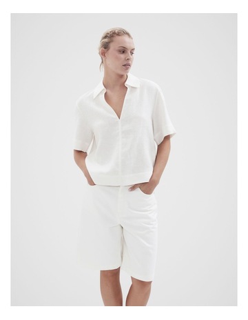 Oyster colour