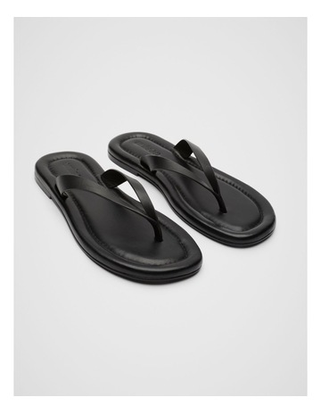 Black colour