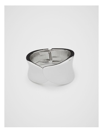 Silver colour
