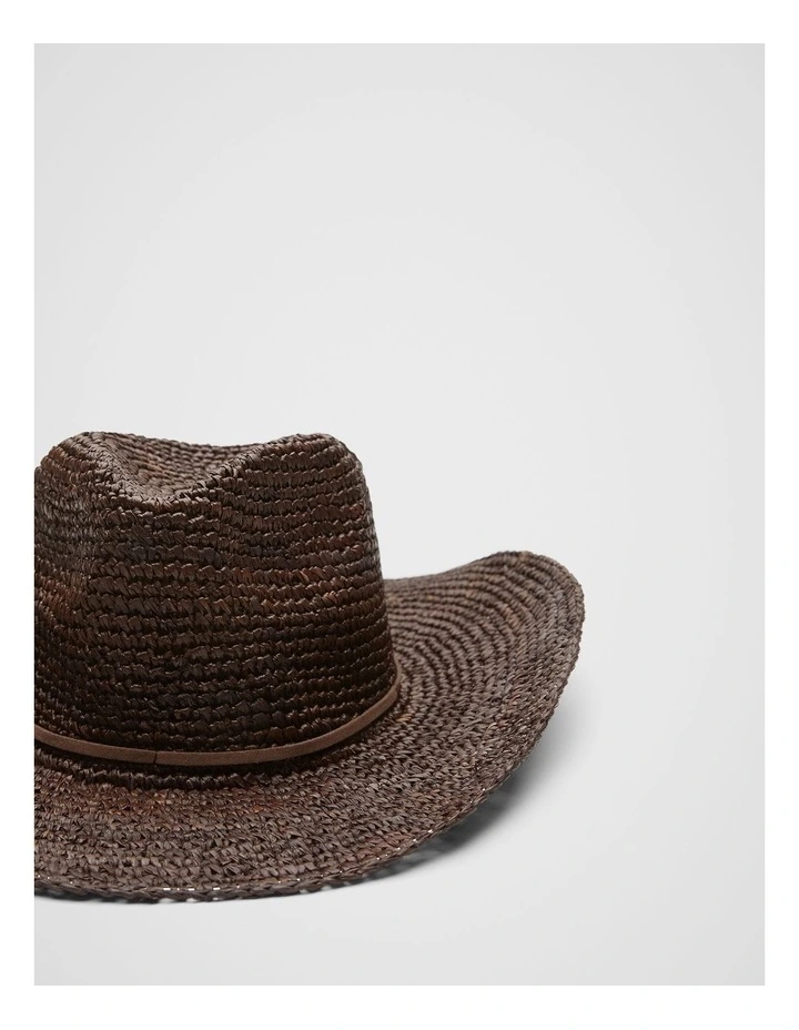 Raffia Fedora in Brown image 2
