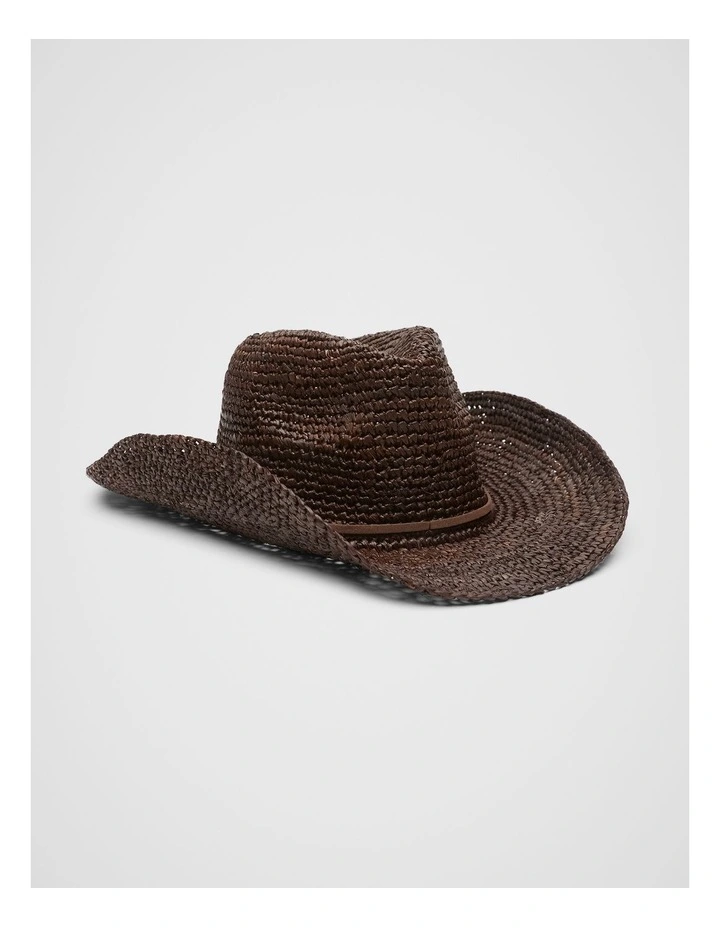 Raffia Fedora in Brown image 3