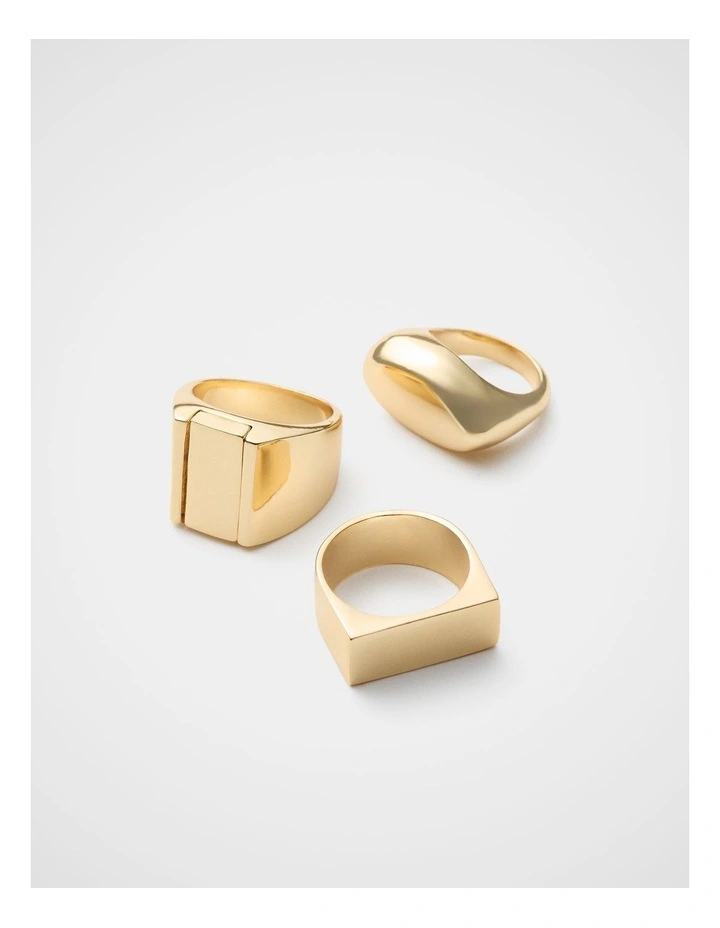 Vera Metal Ring Pack image 1