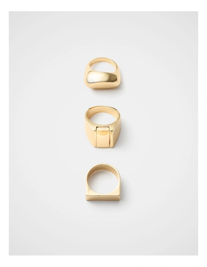 Vera Metal Ring Pack image 2