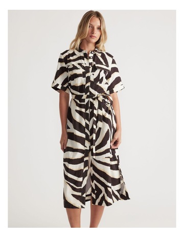 Bold Zebra colour