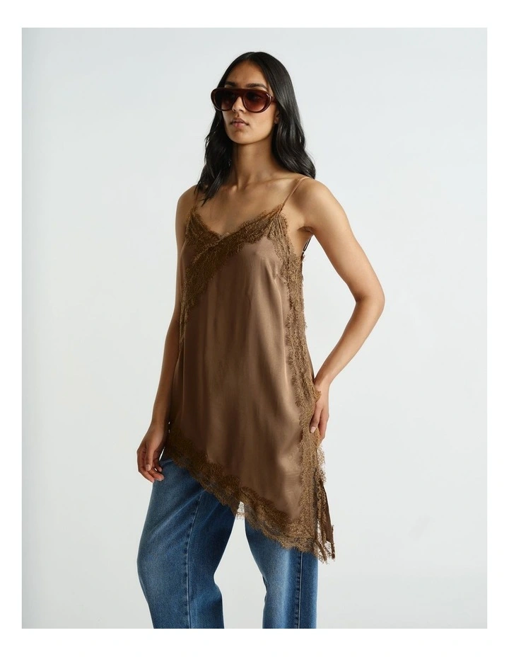 Karla Lace Tunic in Brown image 3