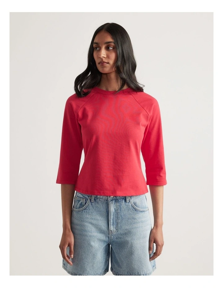 Holland Raglan Sleeve Tee image 4