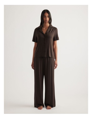 Chocolate colour