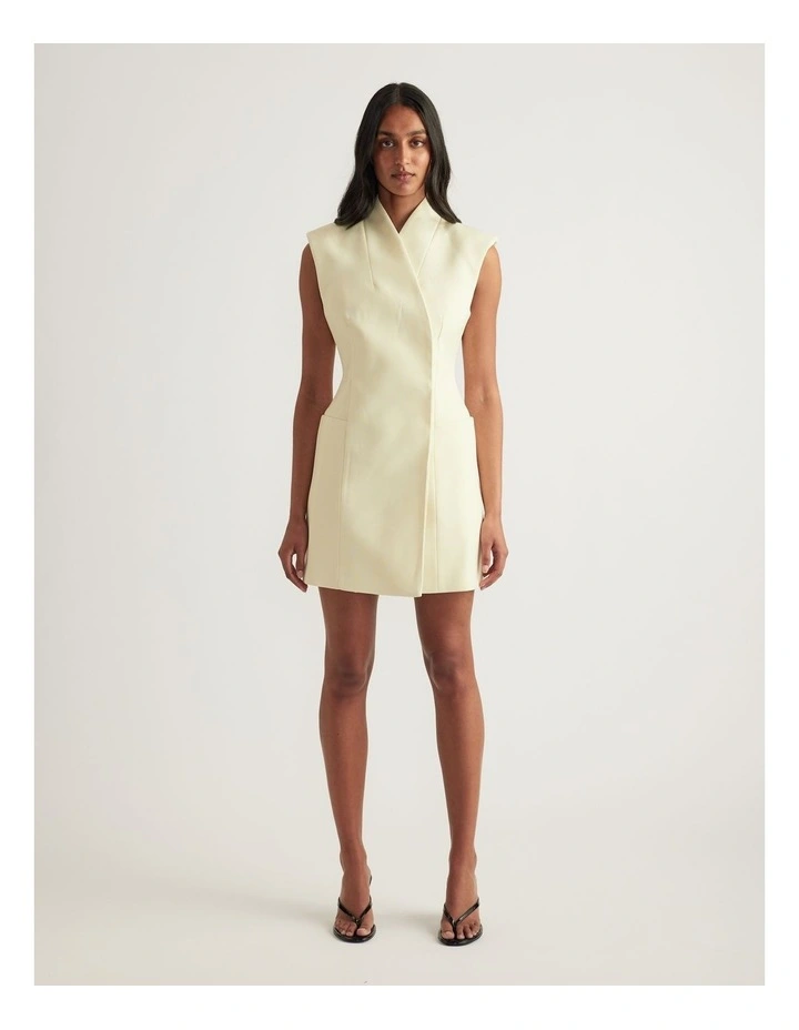 Vera Sleeveless Mini Dress image 1