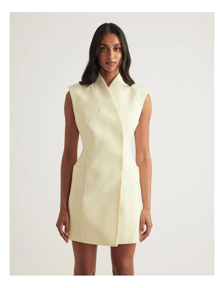 Vera Sleeveless Mini Dress image 4
