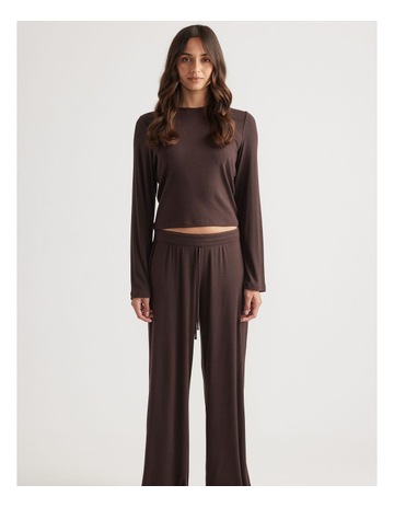 Chocolate colour