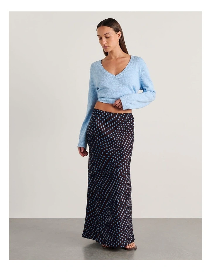 Ania Maxi Skirt image 4