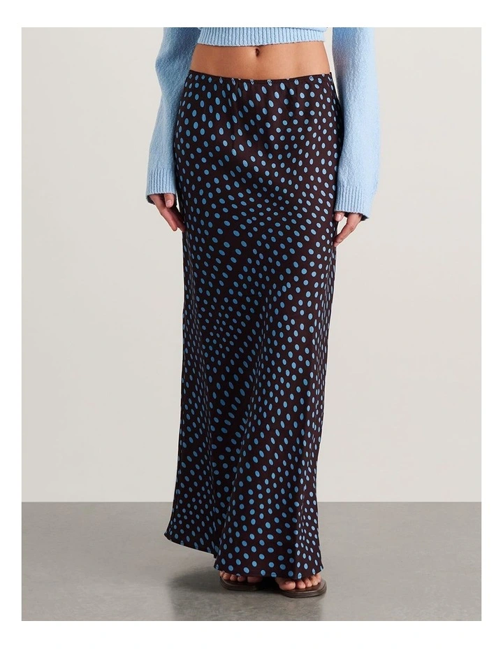 Ania Maxi Skirt image 5