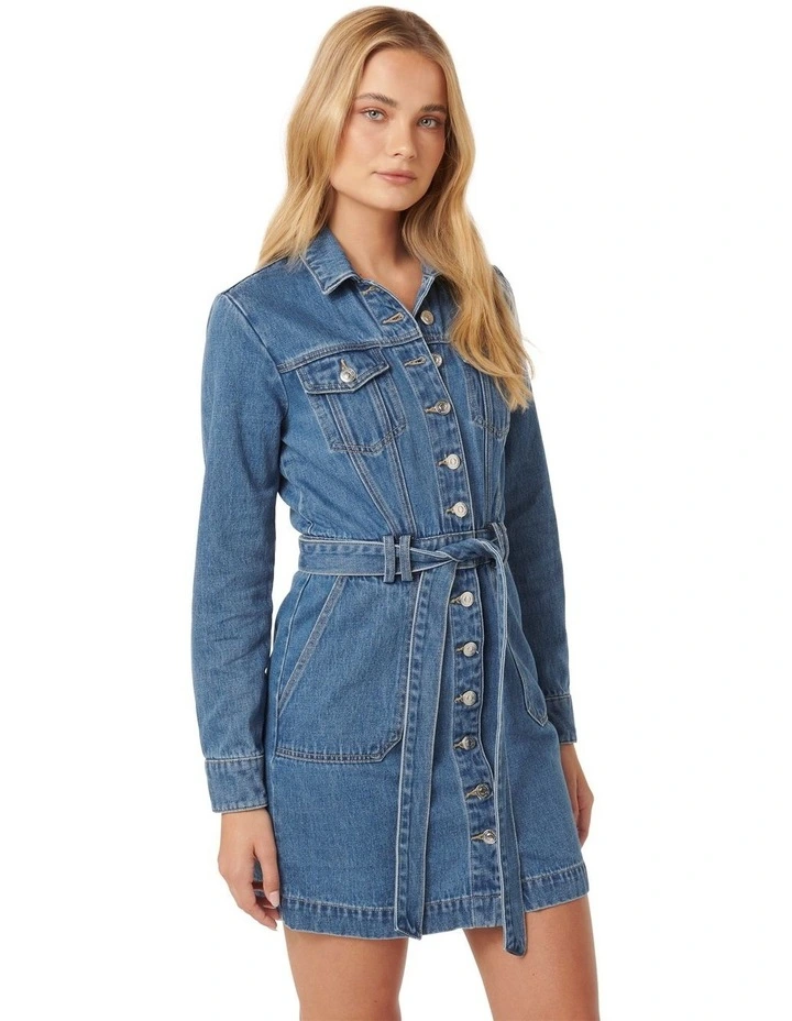 Raelyn Denim Dress in Blue image 3