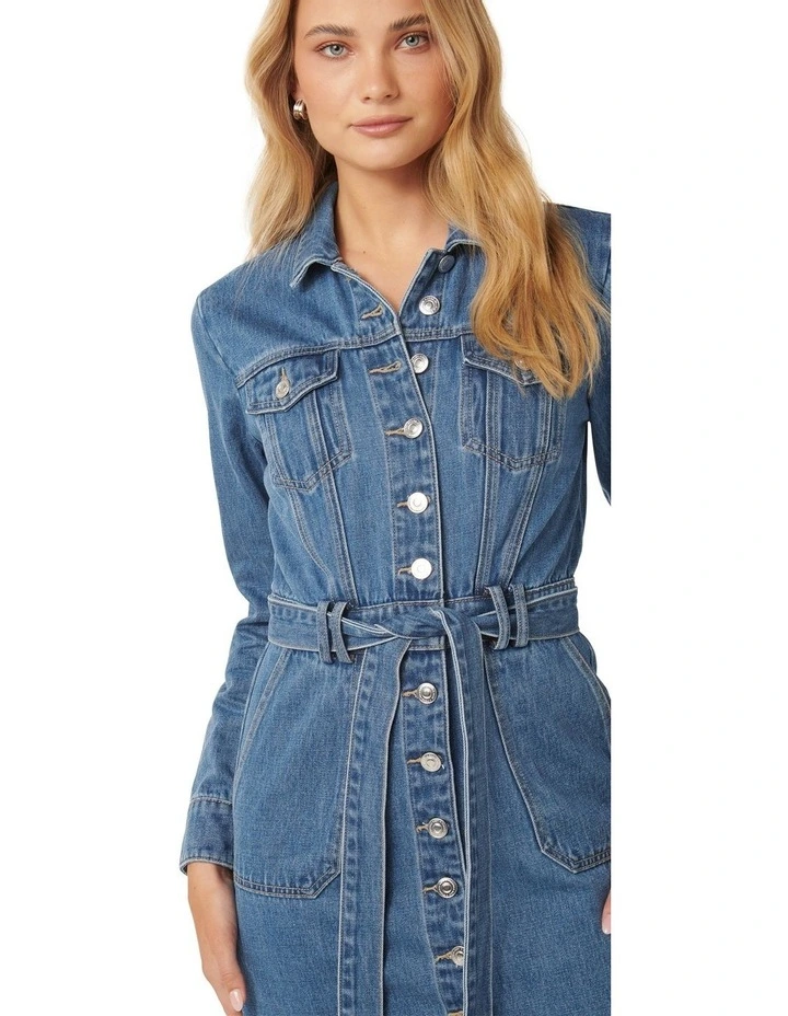 Raelyn Denim Dress in Blue image 4