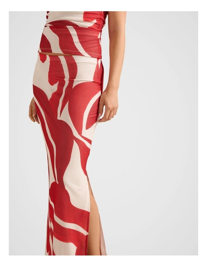 Mia Mesh Maxi Skirt in Multi image 4