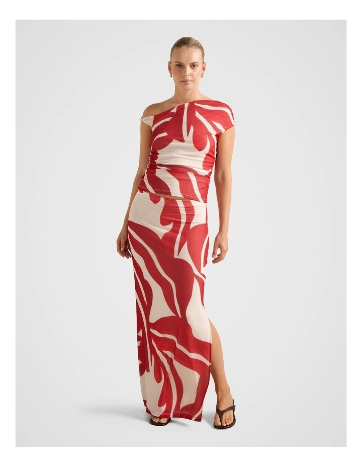 Mia Mesh Maxi Skirt in Multi image 5