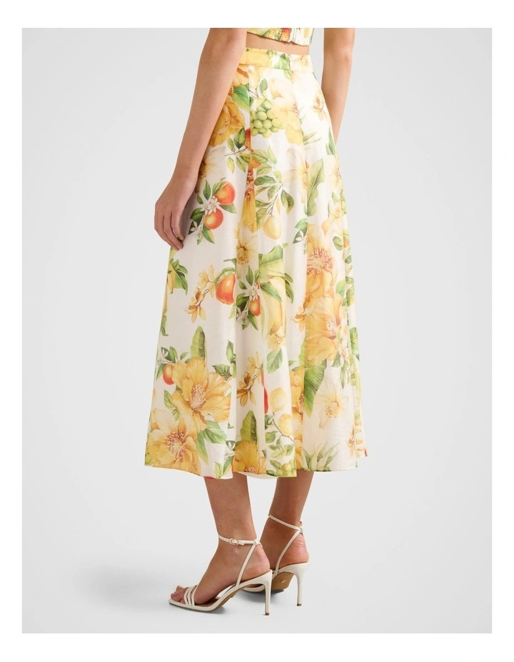 Alina Circle Midi Skirt in Multi image 2