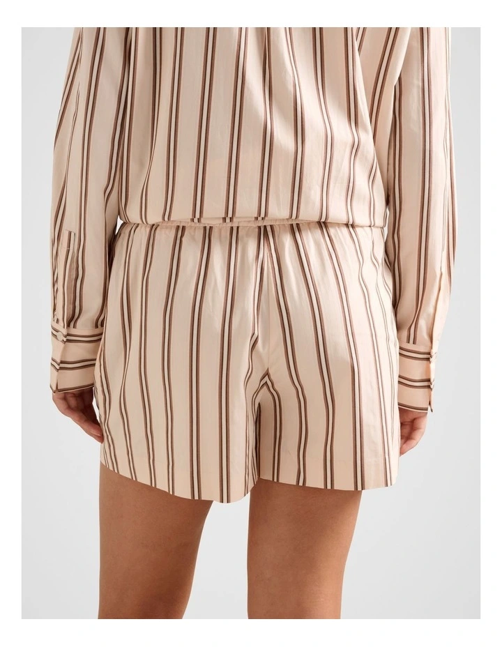 Raven Stripe Shorts in Multi image 2