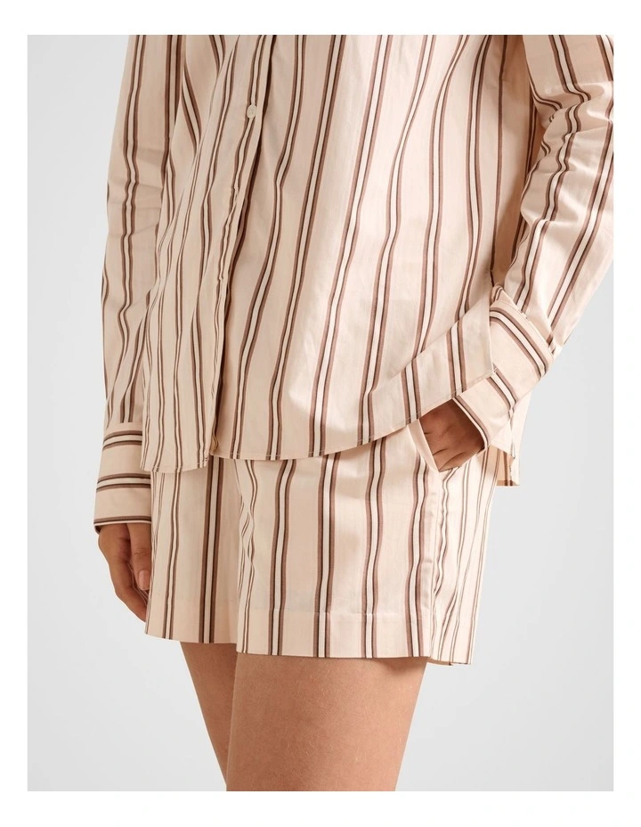 Raven Stripe Shorts in Multi image 3