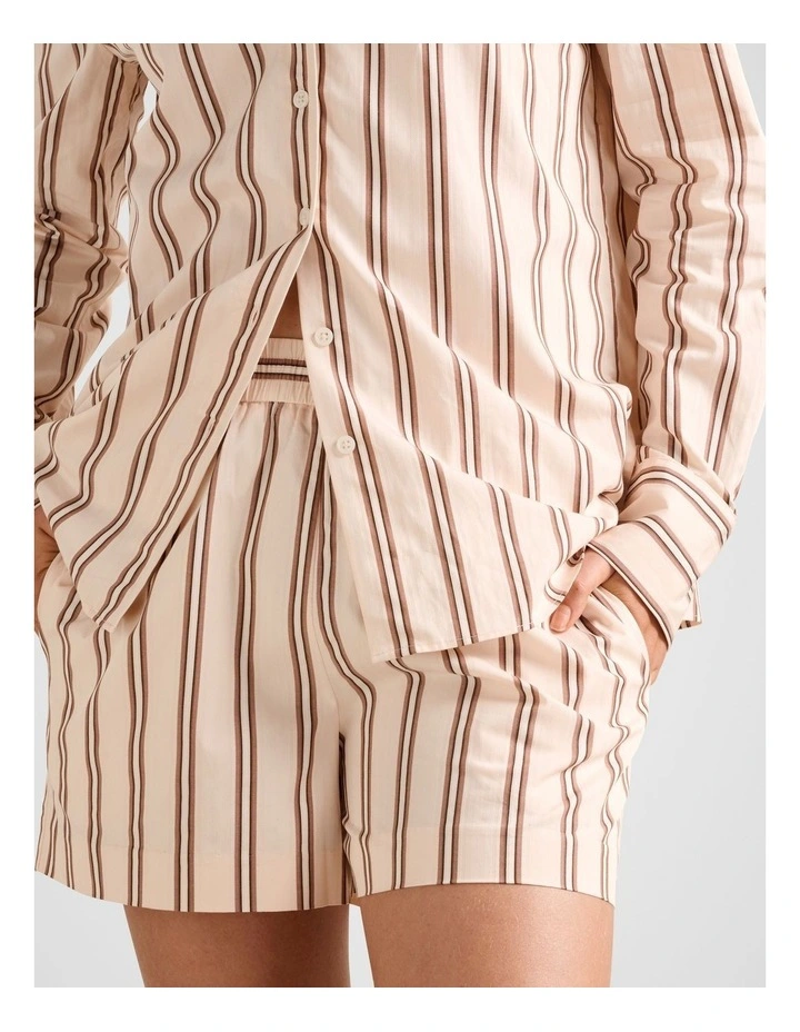 Raven Stripe Shorts in Multi image 4