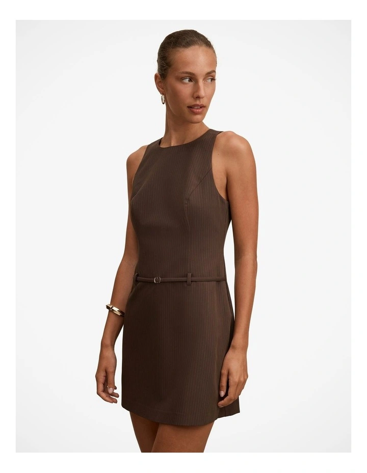 Essie Pinstripe Mini Dress in Brown image 3